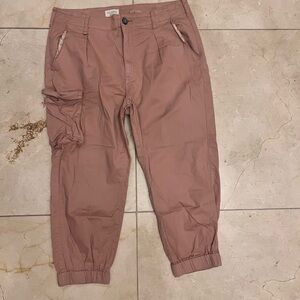 Anthropolgie Pilcro Dusty Pink Cargo Pants 31